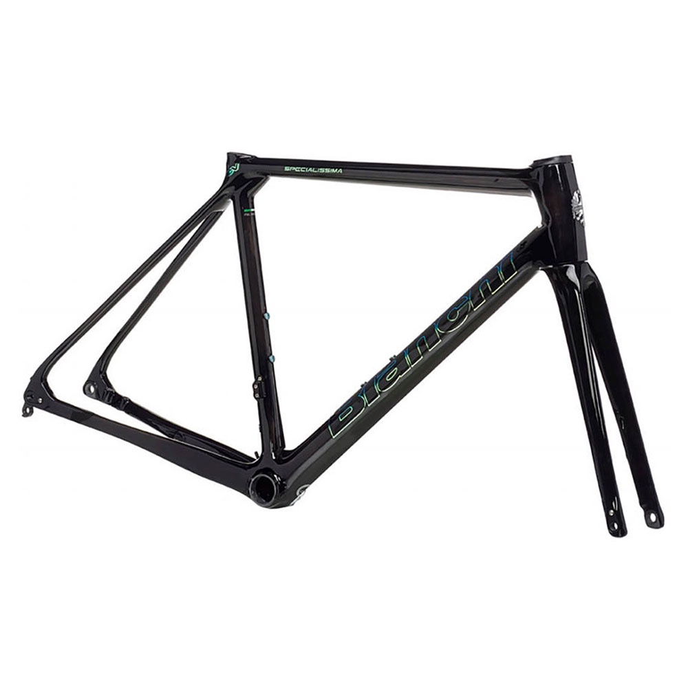 Bianchi Specialissima Disc frameset