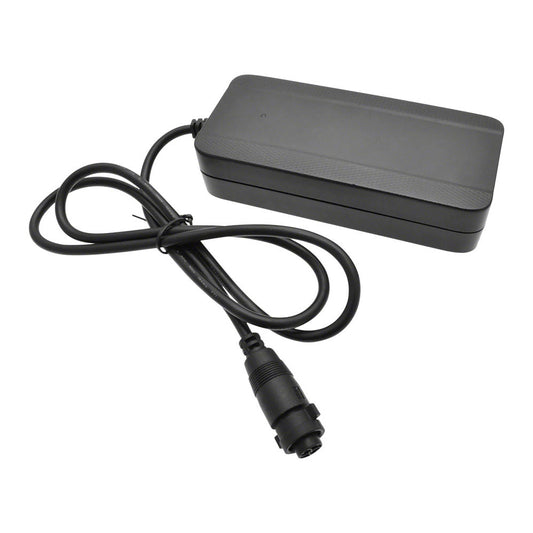 Mahle X35 Charger
