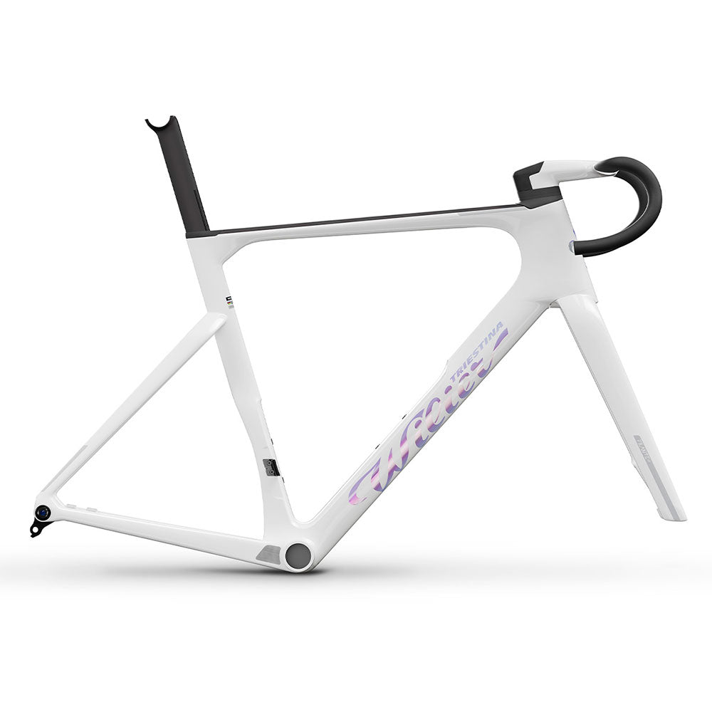 Wiler Triestina Filante SLR ID2 frameset