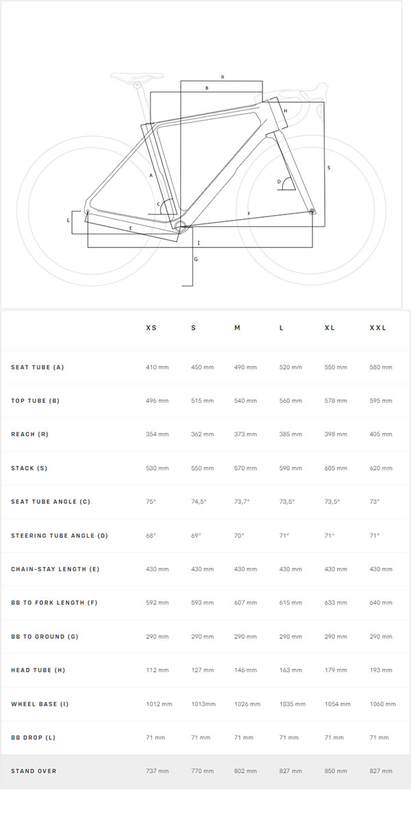 Basso Palta III Gravel Geometry
